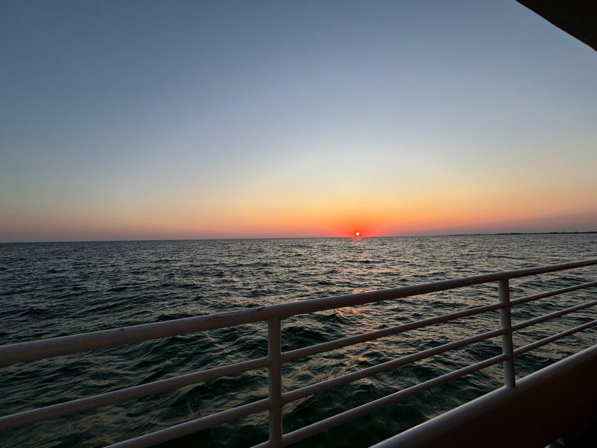 Sunset on dolphin cruise